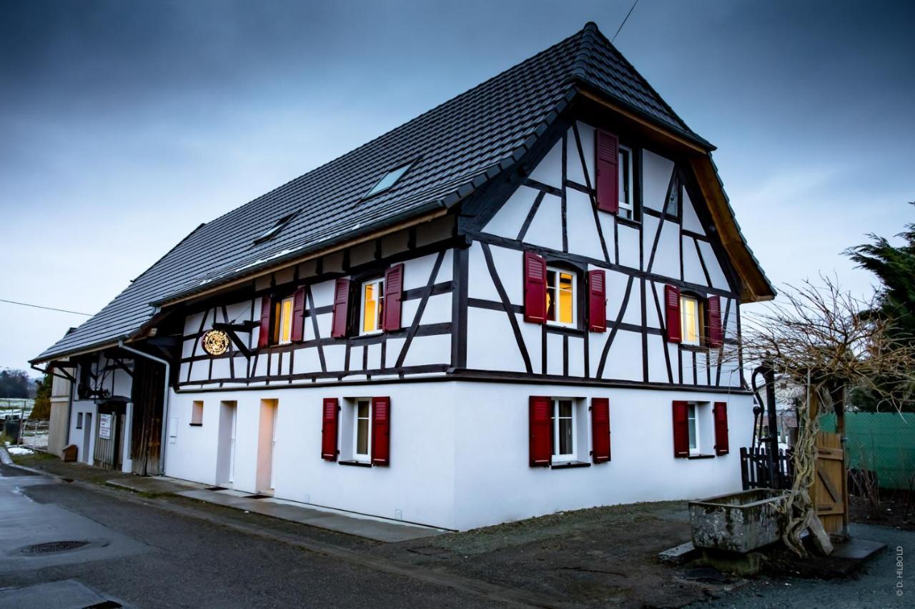 Gite Les Sabots De Paille, Alsace Haut-Rhin Ballesdorf المظهر الخارجي الصورة